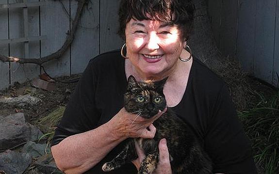 27 años va a cumplir el gato más viejo del mundo (125 años humanos)