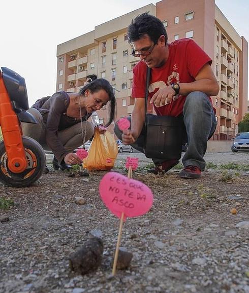 La capital identifica 43 calles en las que se acumula caca de perro