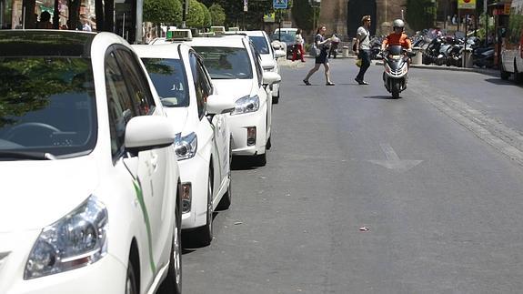 Los taxistas de Granada no podrán ir en chándal a partir de julio