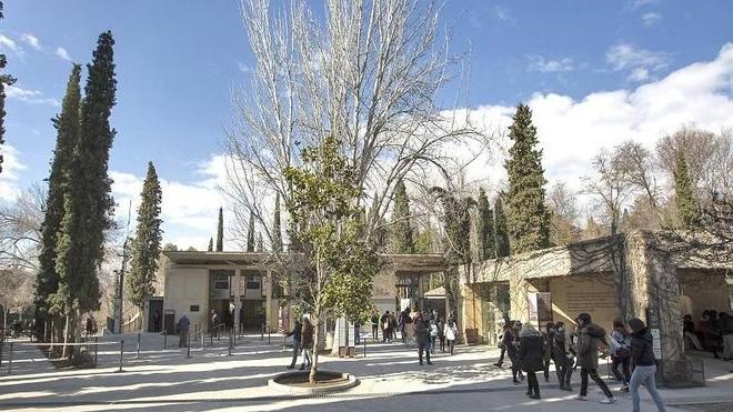 Piedras en el camino de la Alhambra
