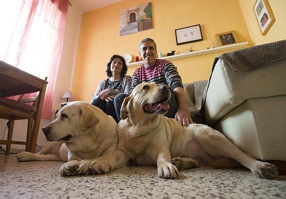 Enfrentados por los ladridos de Nala y Greta