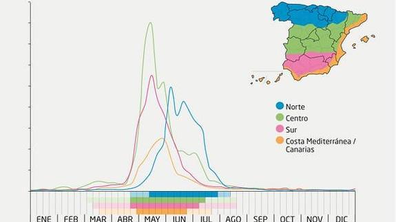 Alergia al polen: Calendario, mapa y zonas de polinización para olivo, gramíneas y otras plantas problemáticas