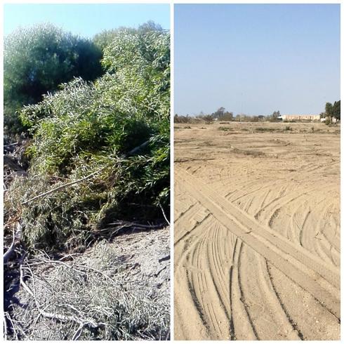 Limpian un solar de 5.000 metros cuadrados junto al colegio San Indalecio de La Cañada