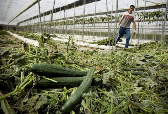 «Estamos rodeados de buenos alimentos, solo nos falta comerlos»