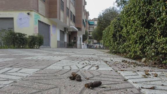 Suspenso a la limpieza en la capital pese al alto gasto municipal