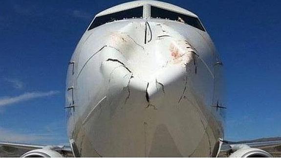 Una bandada de pájaros destroza por completo el morro de un Boeing 737-80