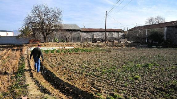 La Vega de Granada, un espacio protegido pero poco mimado