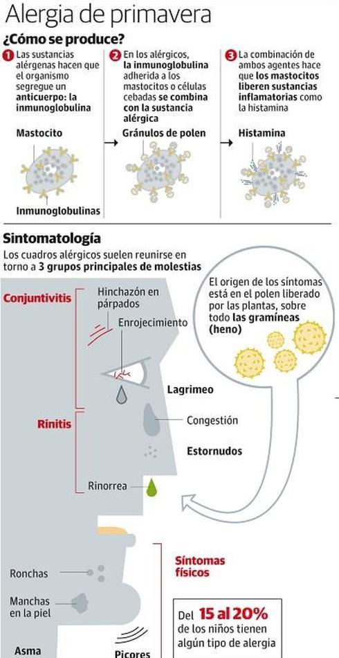 Días críticos para los alérgicos