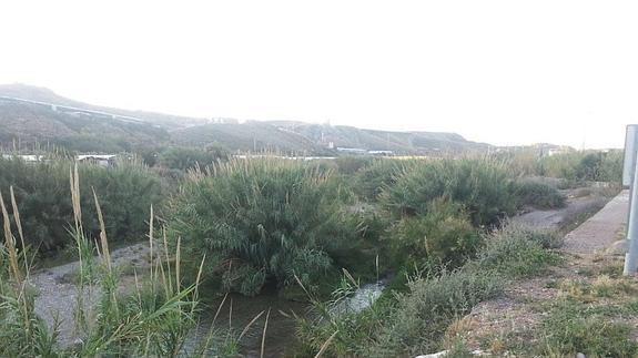 Hernando pide al Defensor del Pueblo que concrete a quién compete encauzar el río