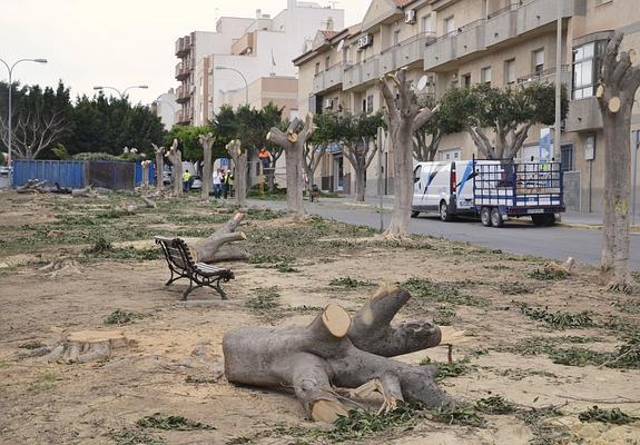Vecinos de La Loma piden al Defensor del Pueblo Andaluz que pare la tala de árboles