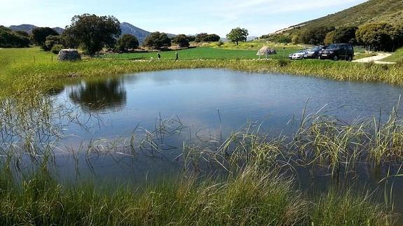 Zafarraya, aguas para anfibios
