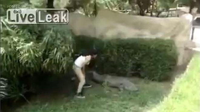 Una inconsciente salta a la zona de los cocodrilos en el zoo