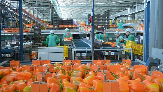 AgrupaEjido anuncia acciones penales contra Cajamar y directores generales impuestos por las entidades bancarias