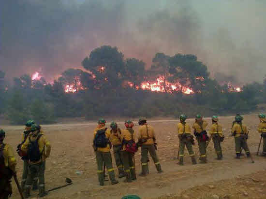 "Bastantes más" de 2.000 hectáreas