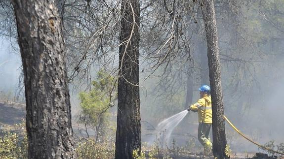Controlado el incendio de Quesada