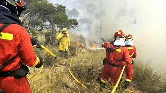 La reforestación de la zona quemada de Quesada empezará en otoño