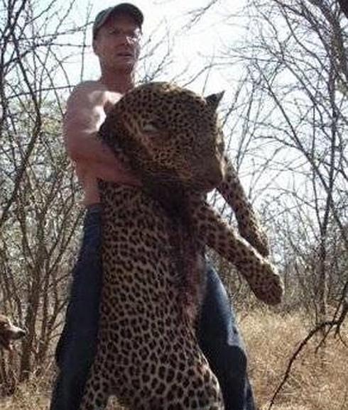 Rinocerontes, leopardos, alces, un oso negro...: los otros 'trofeos' de Walter Palmer