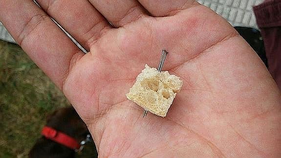 Alertan de la aparición de trampas para perros: trozos de pan con alfileres y salchichas con clavos