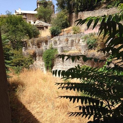 La peligrosa falta de desbroce