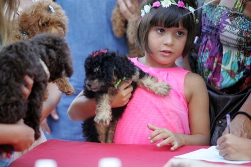 Los mil ladridos de la Feria más canina