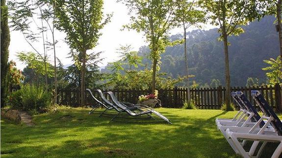 Investigan la muerte de un joven de 17 años tras caerle la rama de un árbol en Beas de Segura