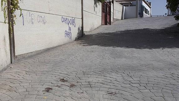 El joven apaleado en Gójar no ha presentado aún denuncia