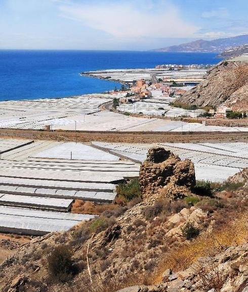 El 'tesoro' oculto del delta