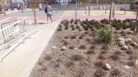 El Parque de la Estación se agosta y pierde buena parte de sus plantas