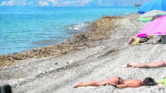 La Costa se afana en limpiar sus playas para sacar partido a los últimos días de verano