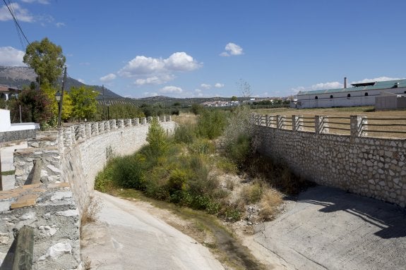 La Confederación y la Junta no han limpiado 25 cauces inundables en los últimos tres años