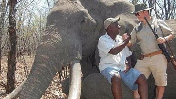 Un cazador alemán paga 54.000 euros para matar a uno de los mayores elefantes de África