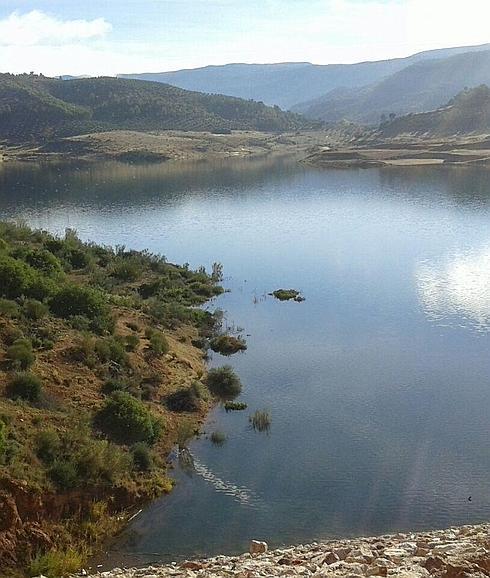 Agricultura destaca las 3.500 hectáreas de olivar que entrarán en regadío con la presa de Siles