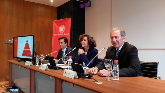 Científicos de la UGR patentan un nuevo fármaco eficaz frente al cáncer de mama, colon y melanoma