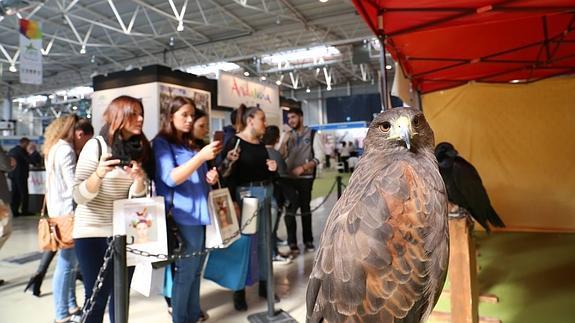 Tierra Adentro supera los visitantes de la pasada edición con unos 13.000