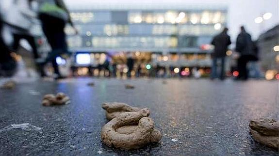 Científicos proponen aprovechar valor energético y económico de los excrementos