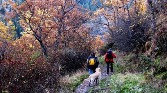 5 rutas con encanto para disfrutar del otoño en Granada