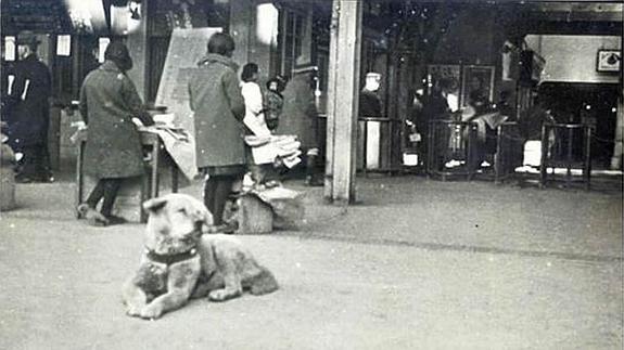 Publican la foto inédita de Hachiko, el perro que esperó 10 años a su dueño muerto