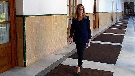 El PP-A lleva al Parlamento el empleo para discapacitados