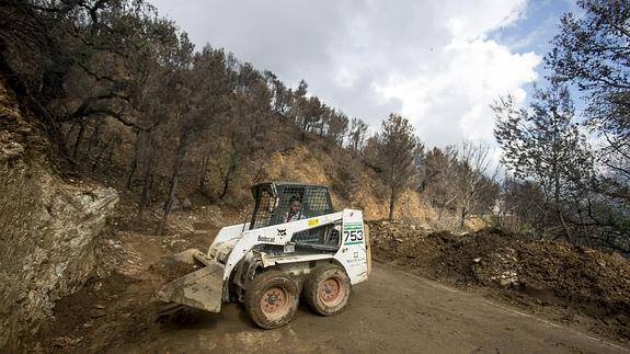 La Junta asegura que cumplió el protocolo en la extinción del incendio de Lújar
