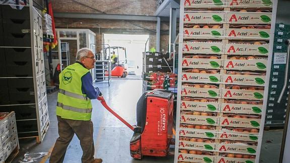 'Condenados' a colaborar con el Banco de Alimentos