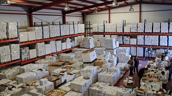 El Banco de Alimentos consigue más de 300 toneladas de víveres durante la Gran Recogida