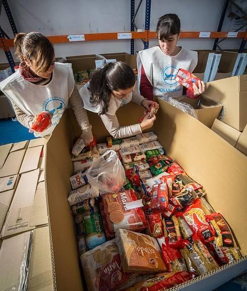 Jaén se volcó con la Gran Recogida