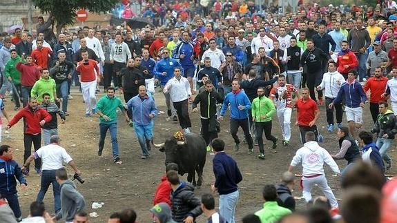 Condenado un taurino que tiró una piedra a una animalista en el Toro de la Vega