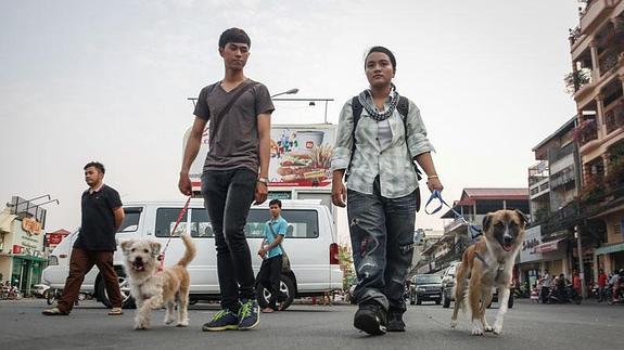 Cuatro muertos y 30 intoxicados por comer carne de perro