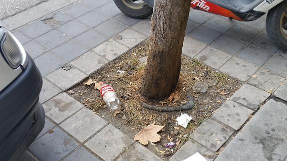 Pequeños 'nidos' de suciedad en las calles de Jaén