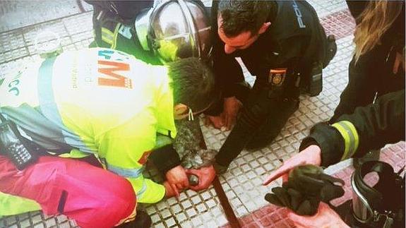 Rescatan a un perro de un incendio pero acaba muriendo por inhalación de humo