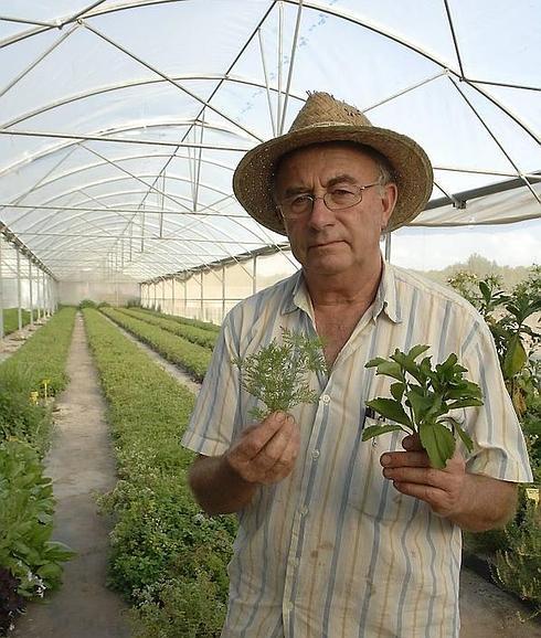 El mesías de las plantas mágicas llega a Granada