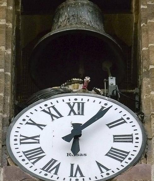 El Pacma recoge firmas para evitar el lanzamiento de la pava de Cazalilla