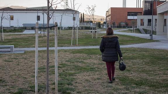 El Zaidín pide asfalto, bullicio y menos verde