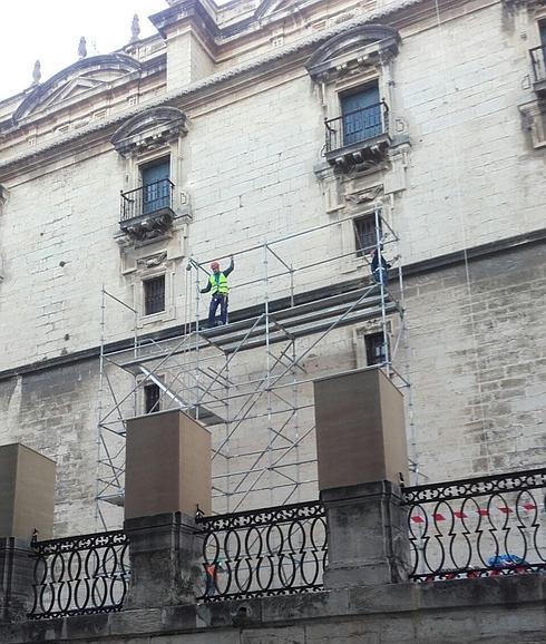 Ecologistas denuncian que las obras de la Catedral afectan al Cernícalo Primilla